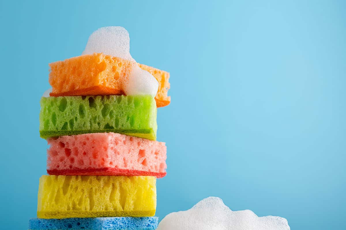 Dezinfekce houba: 7 tipů a triků, které by měly být pravidelně používat!