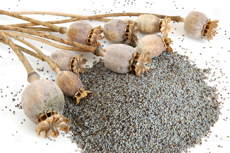 Skutečný zdroj vitamínů. Podporuje činnost střev a pomáhá udržovat zdravou hladinu cholesterolu.