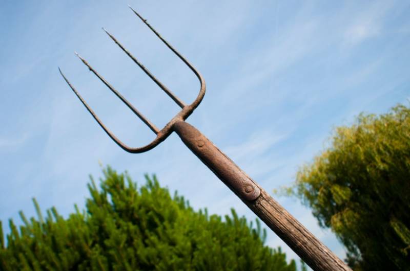 Vzdát se soli – můžete použít levnější alternativu k odstranění ledu z příjezdové cesty.