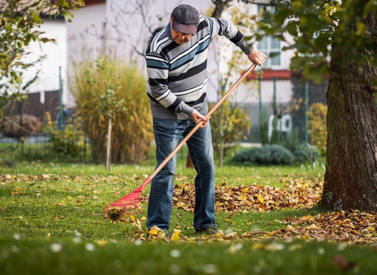 Umístěte jej na několika místech po celé zahradě. Krysy se přestanou schovávat.