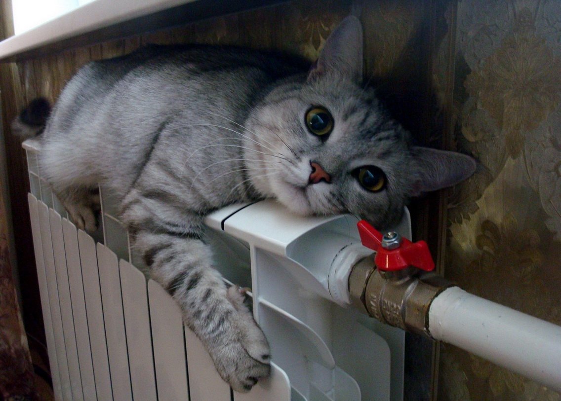 V zimě nedělejte tuto chybu. Mnoho lidí v noci přehřívá topení.