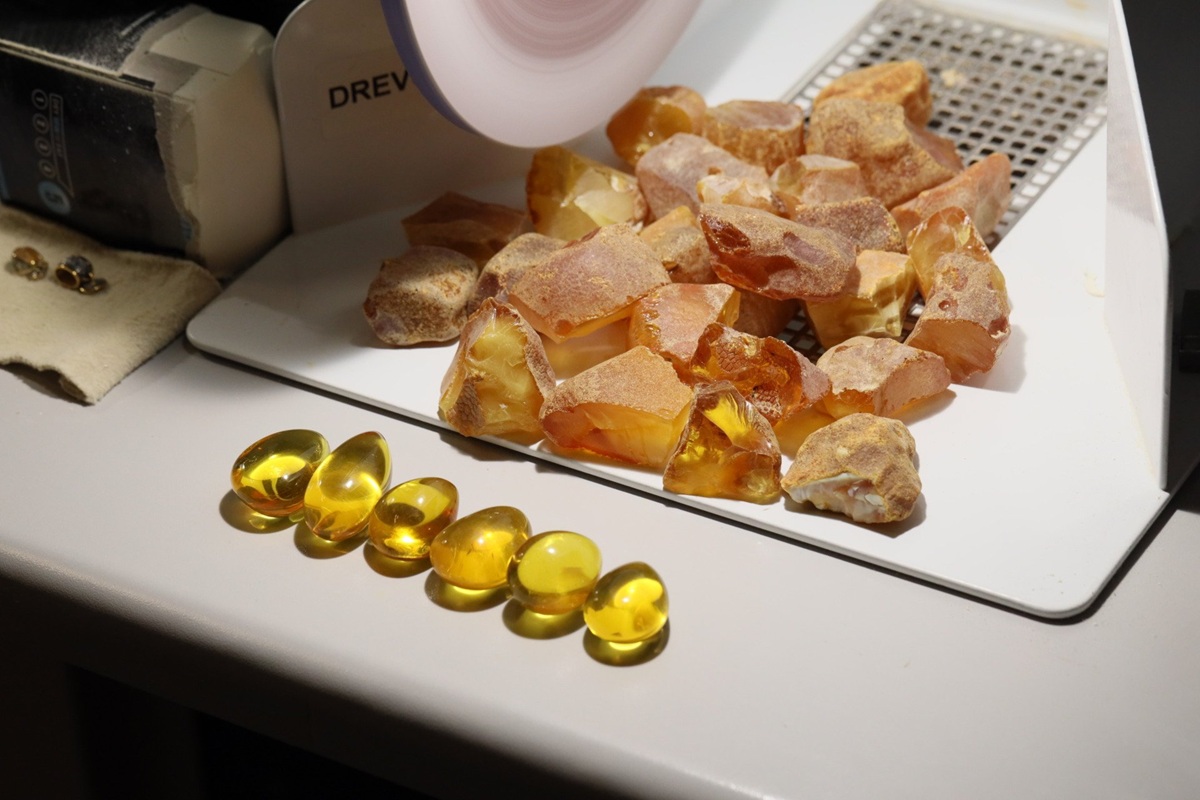 Antarktida skrývá tajemství pod ledem. Kousek jantaru odhalil, jak vypadal její ztracený les.