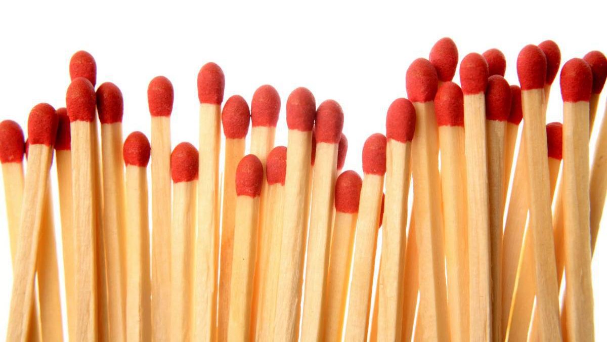 Málo známý prostředek proti mouchám. Dejte několik kusů do květináče a mouchy přestanou létat.