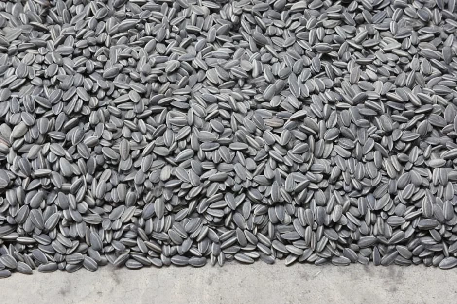 Hřeje lépe než pelety a je levnější. Poláci objevují nový druh paliva pro vytápění.