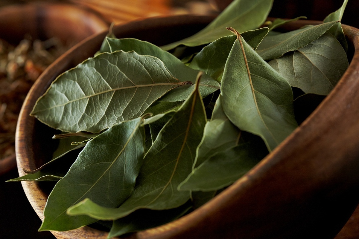 Proč se vkládá bobkový list do sklenice s octem a jaký má účinek?