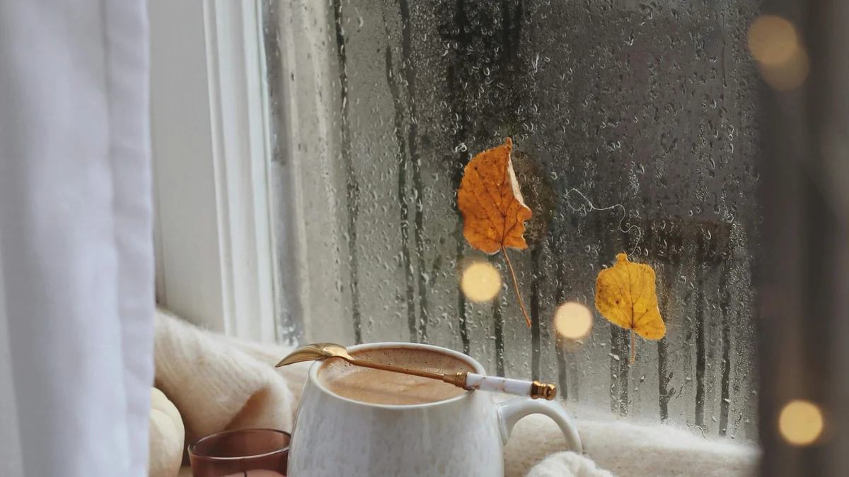 Kondenzát na oknech je častým problémem. Jak mu zabránit?