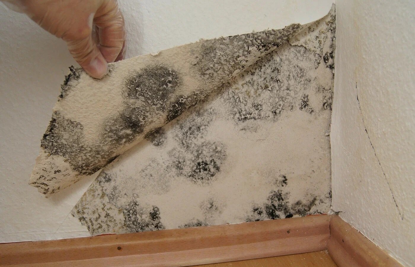 Jak rychle najít zdroj vlhkosti v domě? Vyzkoušejte metodu s hliníkovou fólií