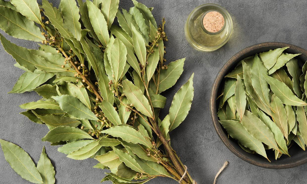 Vavřínový list na dveřích ložnice: proč se to doporučuje