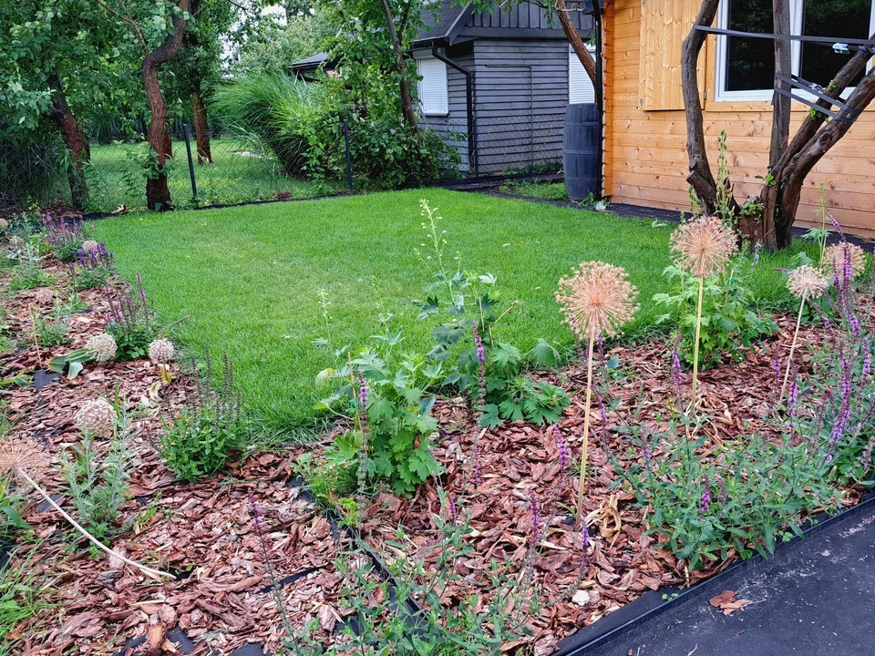 7 rostlin, které je NUTNÉ na podzim mulčovat, jinak na jaře nebudete mít co zachraňovat!