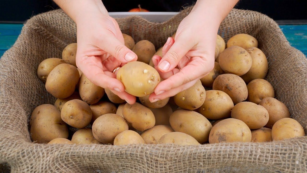 Brambory zůstanou čerstvé a nevyklíčí po dobu 12 týdnů, pokud je budete skladovat na jednom jednoduchém místě.
