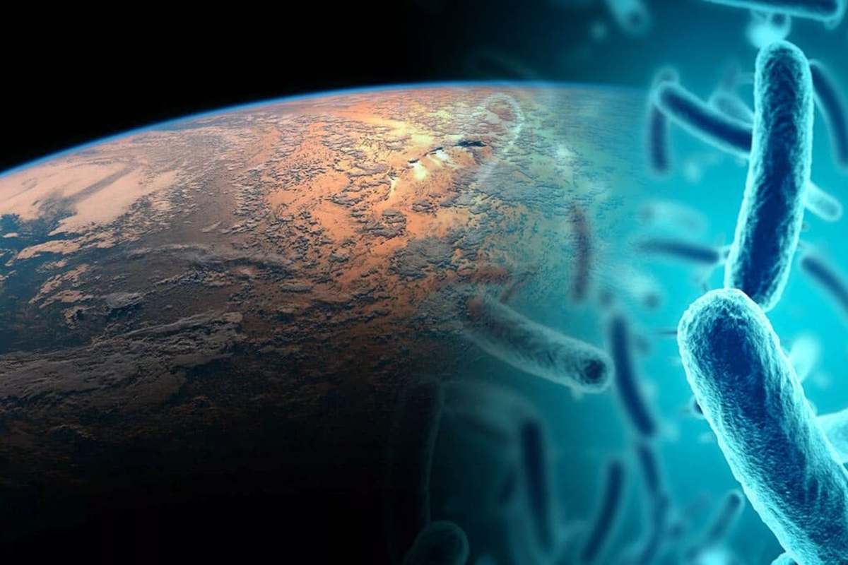 Existují bakterie, které jsou schopné „oživit se“ a které se možná dostaly do vesmíru bez vědomí NASA. A to představuje vážný problém.