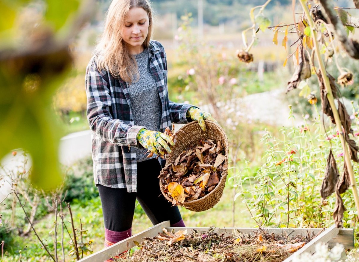 Jak urychlit rozklad kompostu na podzim? Na jaře budete mít dobré hnojivo