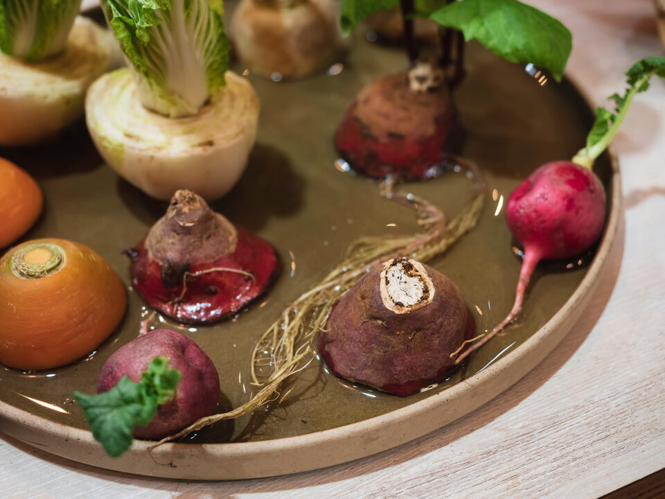 Připravte si jednou a jezte po celý rok. Jak pěstovat zeleninu a bylinky z kuchyňského odpadu.