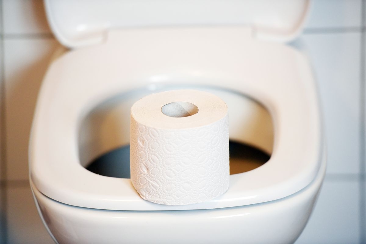 Instalatéři varují, že do toalety by se nemělo splachovat nic, včetně toaletního papíru.