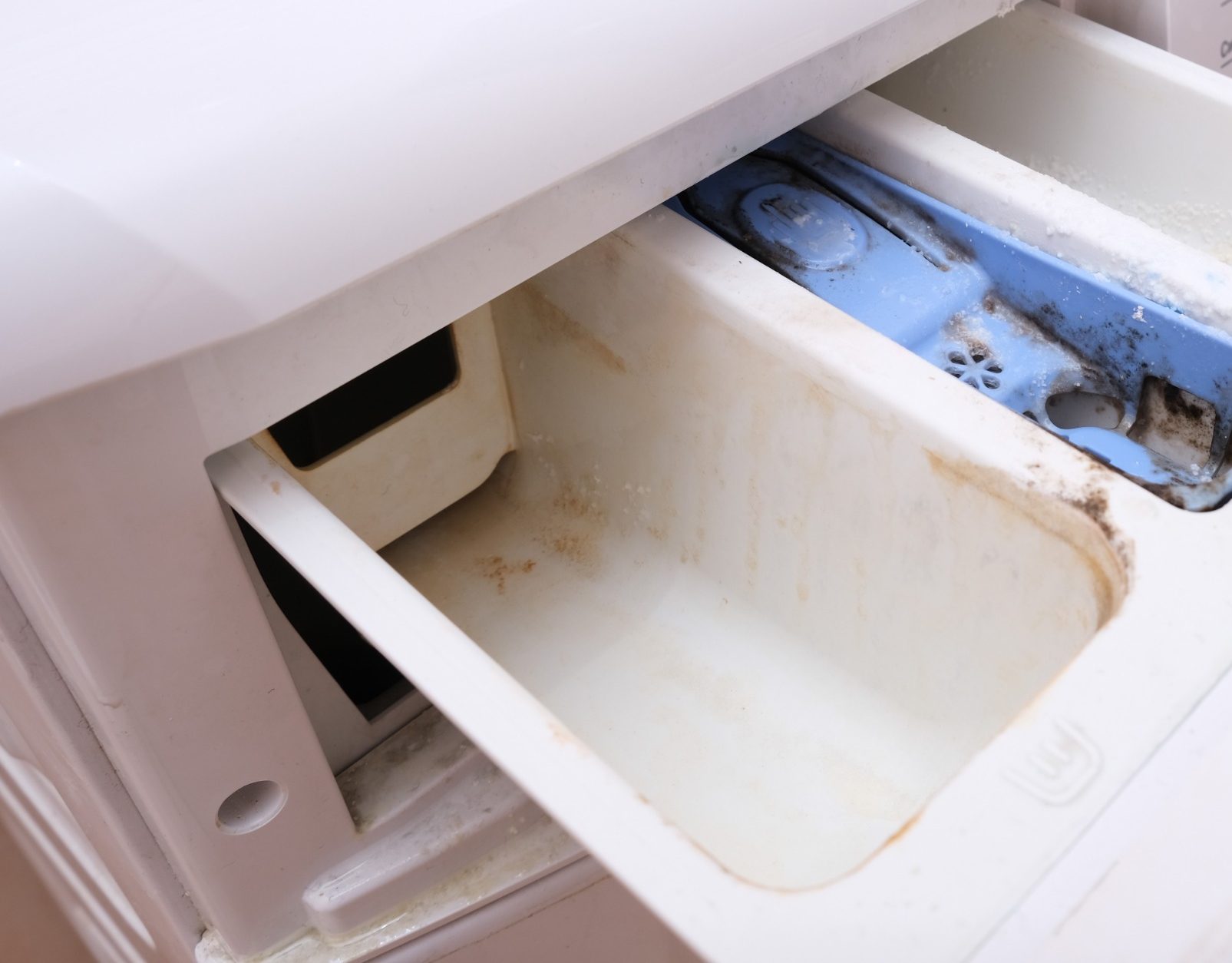 Jak odstranit plíseň z podnosu pračky: jednoduchý kuchyňský prostředek, který vám to pomůže udělat za minutu