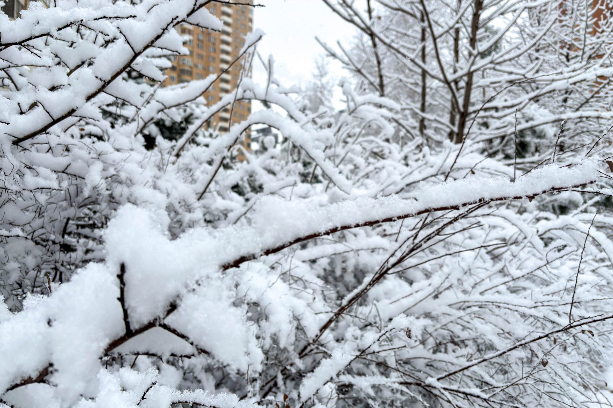 Připravte se na dlouhé sněžení! ČHMÚ vydal pro část České republiky varování před 12 hodinami nepřetržitého sněžení.