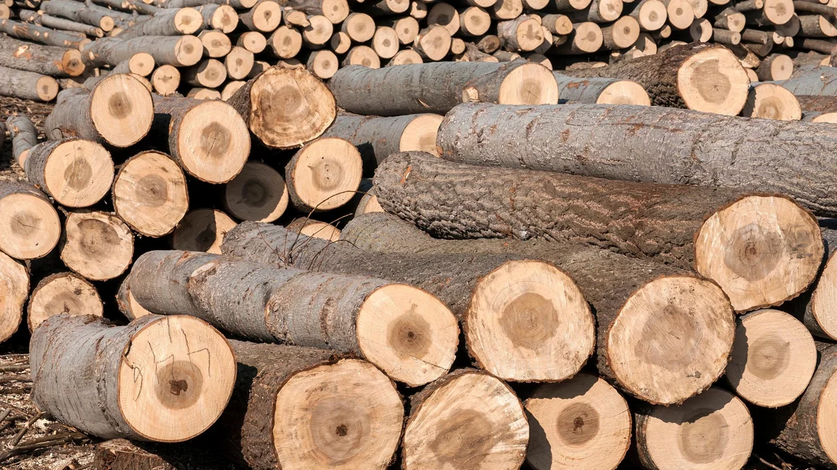 Málokdo ví, že tento druh čistí komín a vytváří krásný plamen.