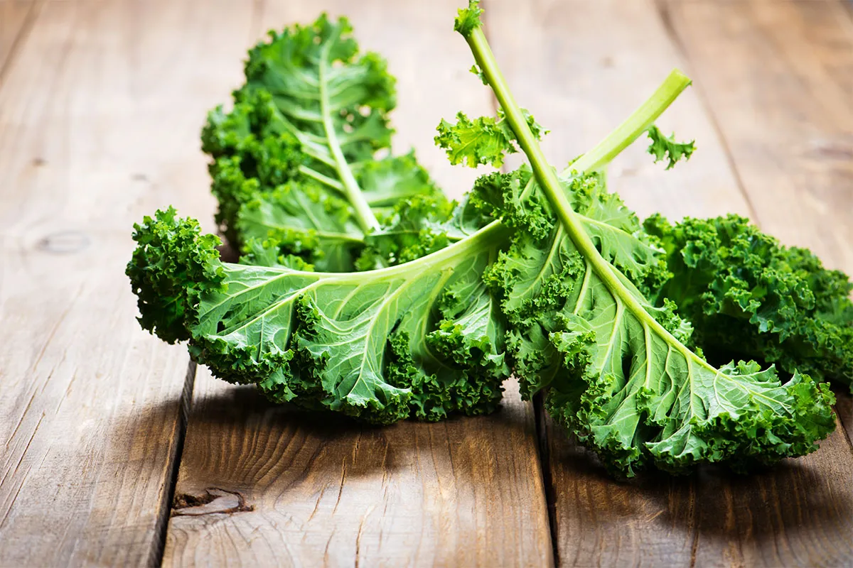 Jaké jsou výhody kapusty kale a jak přispívá k tvorbě kolagenu?