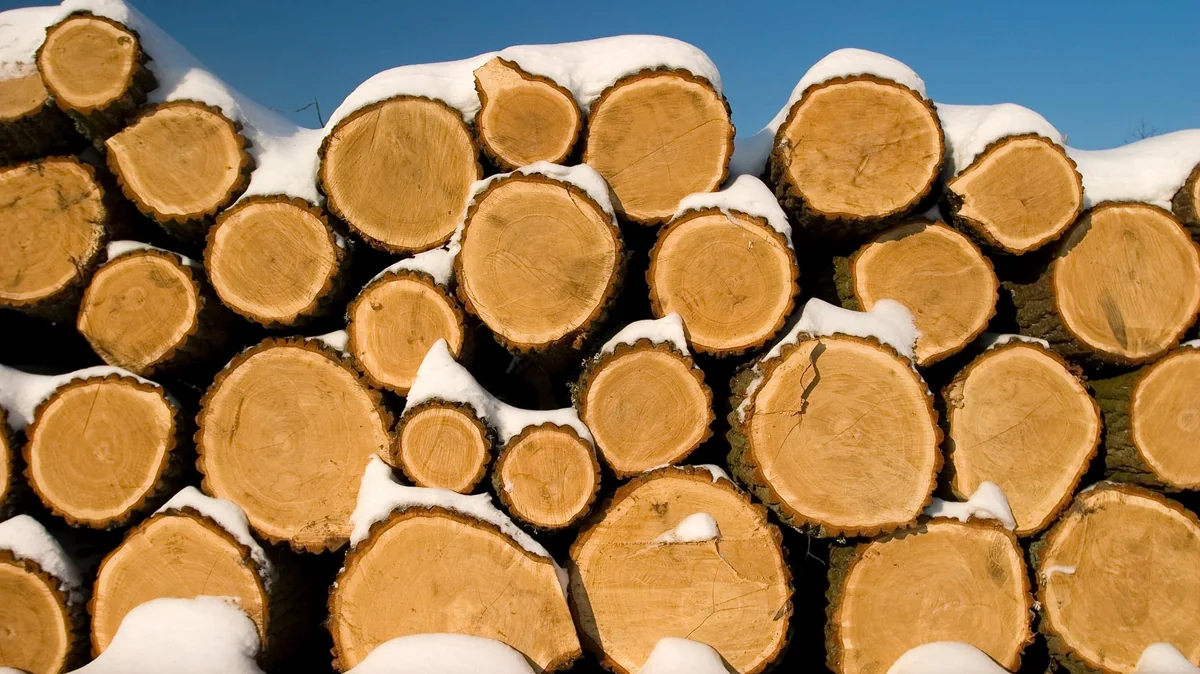 Toto oblíbené dřevo není vhodné pro krby, protože vytváří hodně sazí.