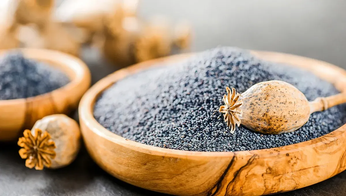 Semena máku mají mnoho prospěšných vlastností a jsou vynikajícím zdrojem vápníku.