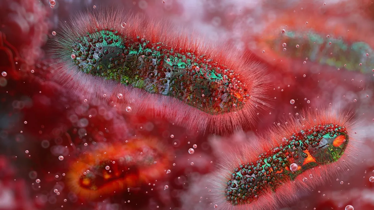 Studie spojuje autismus, anorexii a hyperaktivitu prostřednictvím mikroorganismů