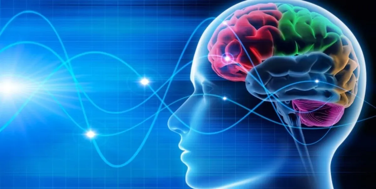 Jednoduchý trik, který můžete použít k prevenci stárnutí mozku