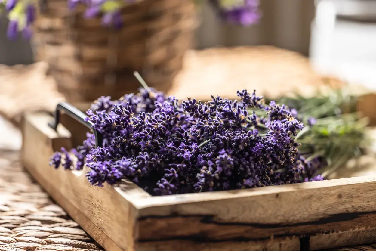 Pět způsobů, jak přirozeně provonět váš domov