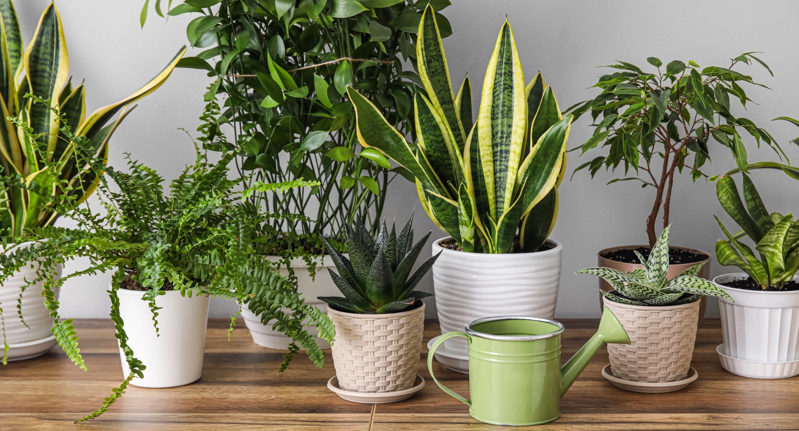 Vidíte ten povlak v hrnci? Nalijte to do hrnce a snadno zmizí.