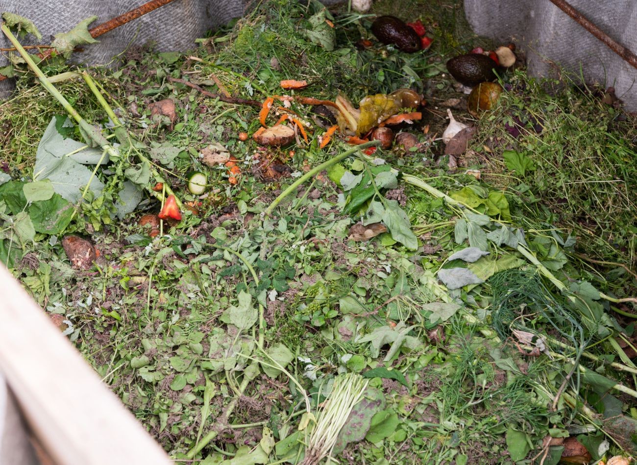 Jak urychlit rozklad kompostu na podzim? Na jaře budete mít dobré hnojivo