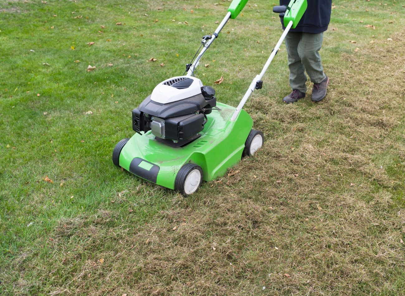 Listopad v zahradě. Poslední podzimní výsadba a úklid před zimou