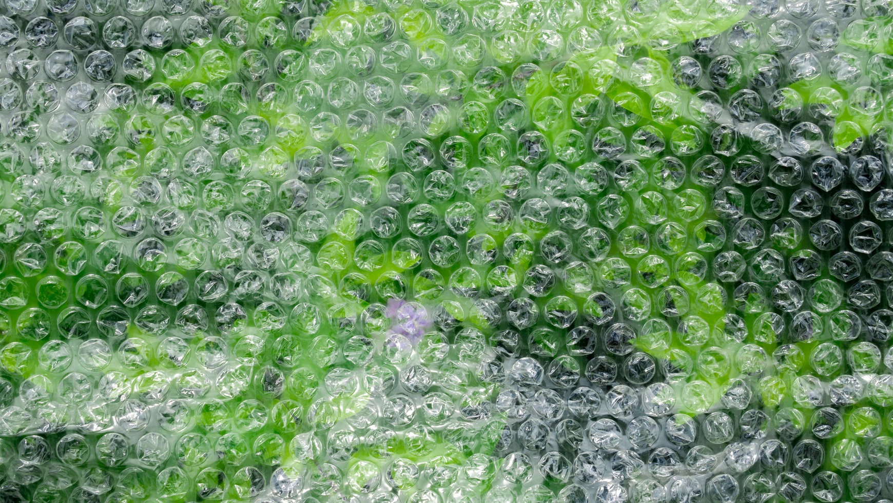 Nevyhazujte bublinkovou fólii. Můžete ji znovu použít na zahradě.