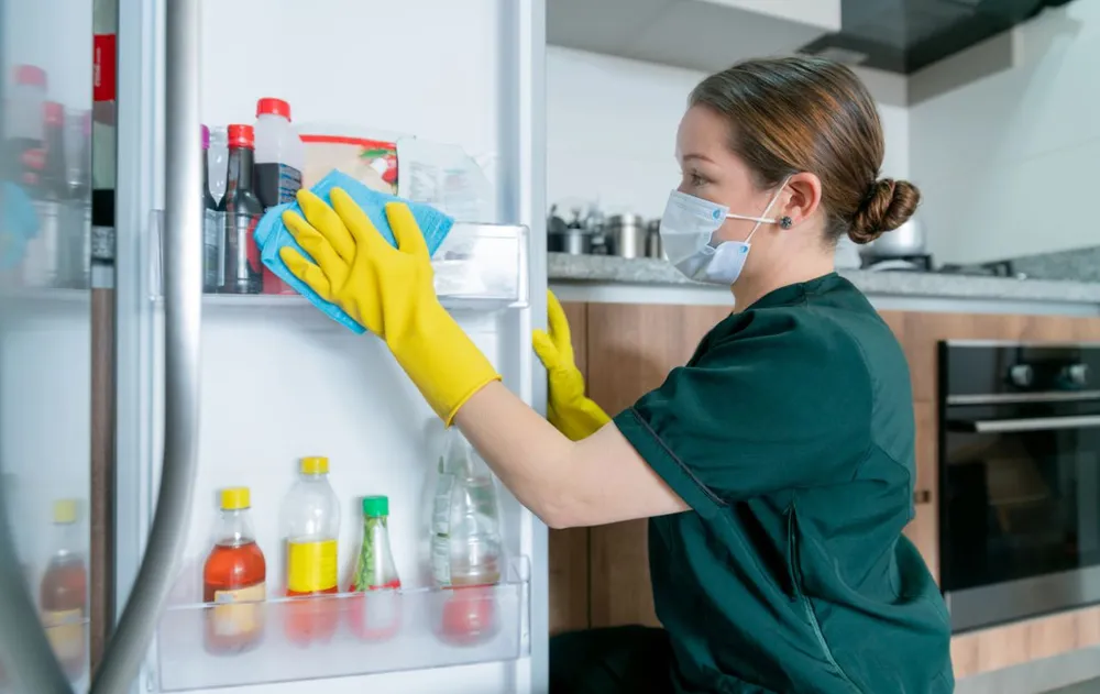Hloubkové a dlouhodobé čištění: oblíbená metoda péče o ledničku