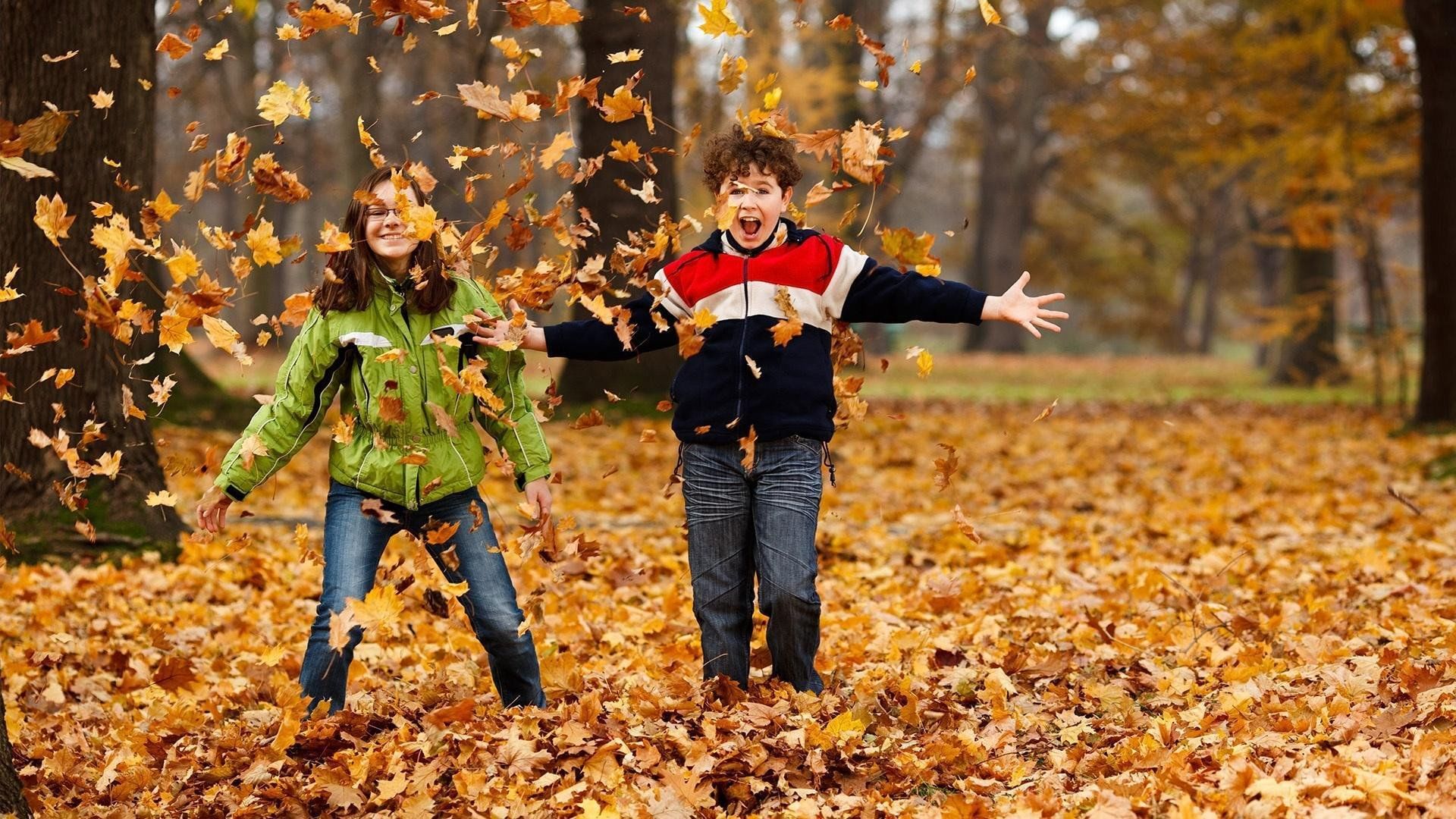 Udělejte totéž s opadaným listím. Vaše zahradní rostliny vám budou vděčné.
