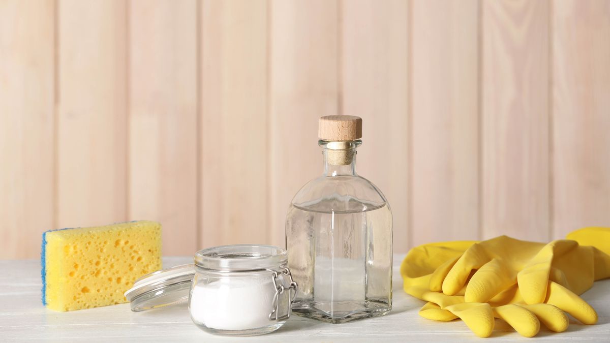 S příchodem chladného počasí je naprosto nezbytné „ponořit na noc do místnosti misku s octem“.