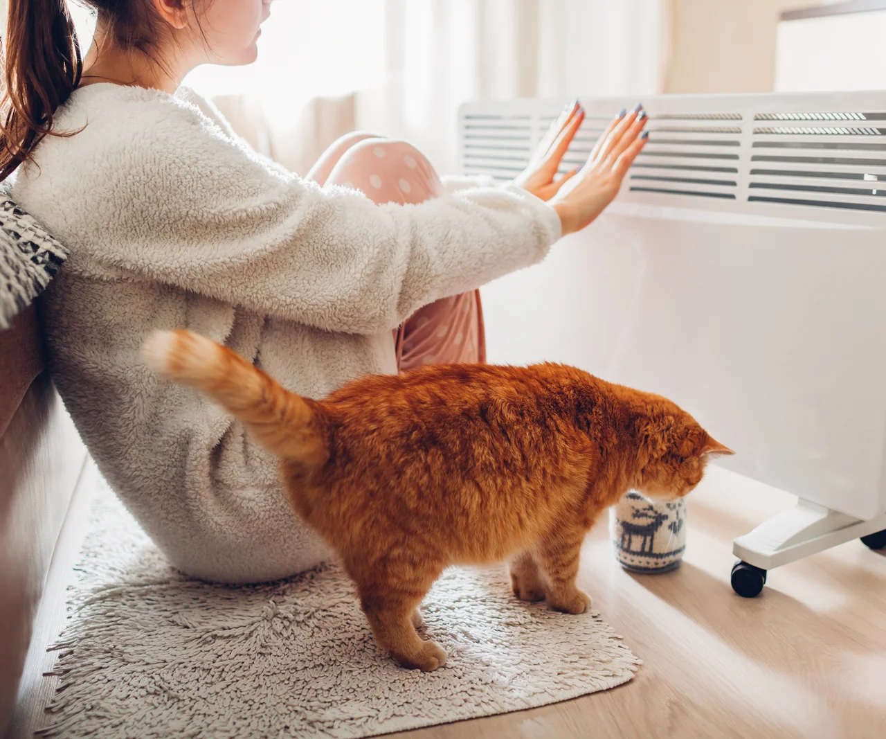 Rozkrojte ho a večer položte na radiátor. Ráno bude celý byt nádherně vonět. Příjemná vůně pro váš pokoj v zimě.