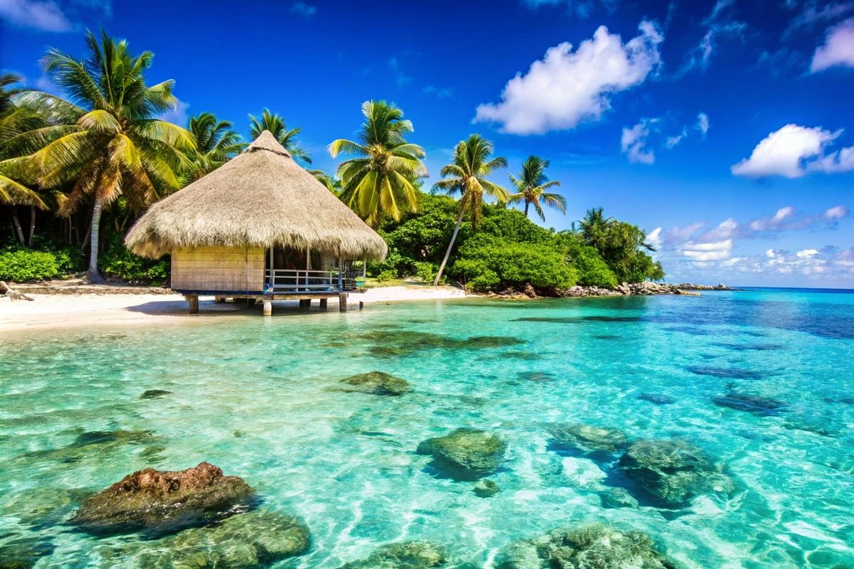 50 000 lidí zaplatilo 120 000 eur, aby mohli žít na rajském ostrově kryptoměn.