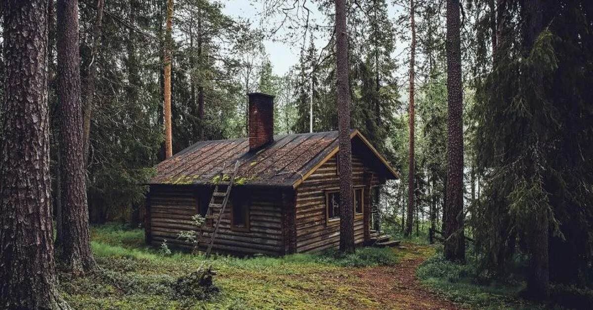 Rodina chtěla žít pouze s využitím solárních baterií, studniční vody a zahrady. Dokud jim soud nevzal děti.