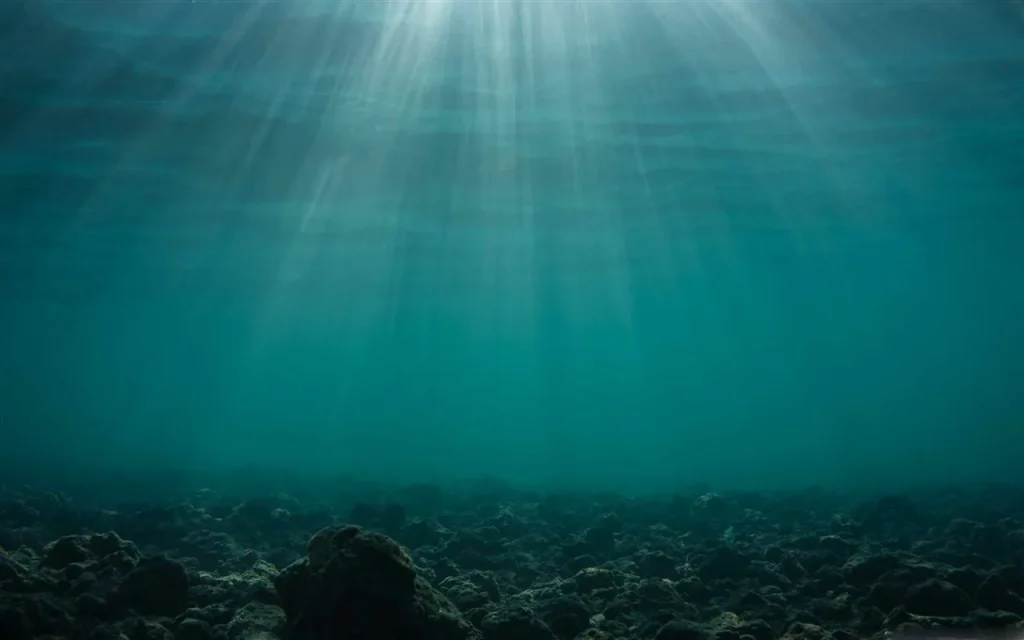 Vědci poprvé pozorovali rozpad kontinentálních desek na dně Tichého oceánu pomocí podvodních senzorů.