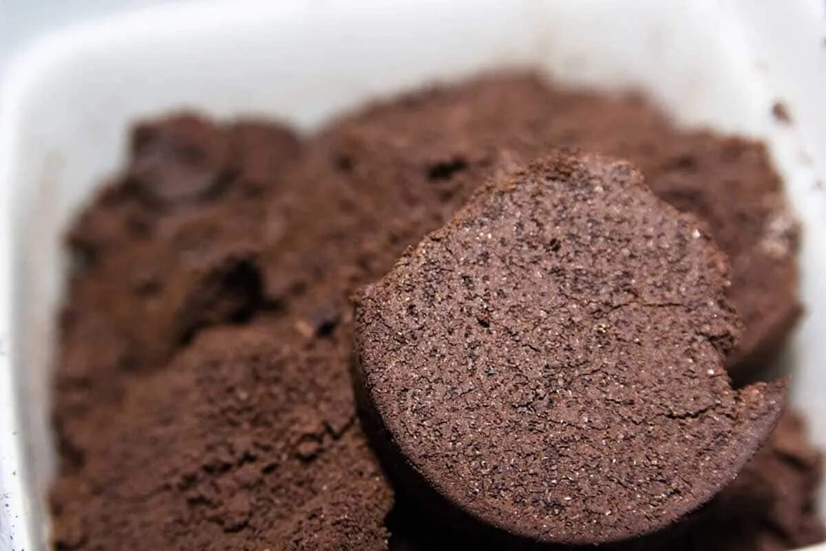 Tento trik byste měli znát: proč stále více lidí vyhazují kávovou sedlinu do záchodu.