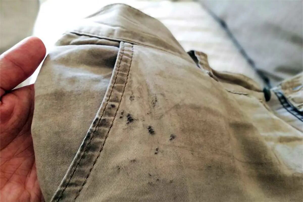 Rozlučte se s plísní pomocí této jednoduché metody, která ochrání vaše textilie před skvrnami a pachy jako nikdy předtím.