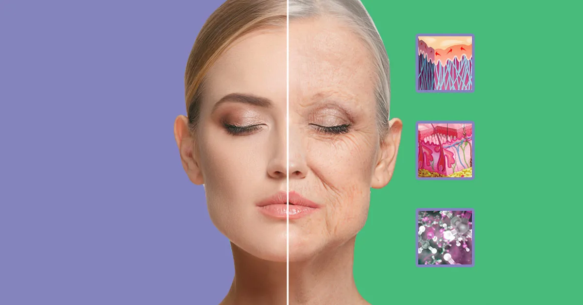 Vědci objevili zlomový bod, kdy se proces stárnutí organismu zrychluje