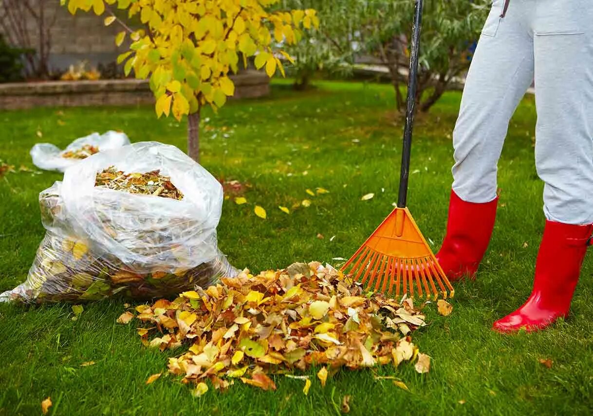 Jak správně likvidovat listí v zahradě