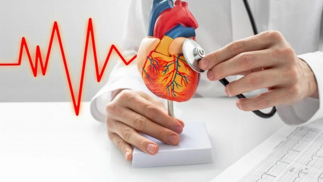 Srdeční blokáda: 7 rad kardiologů pro udržení čistoty cév a plynulejšího krevního oběhu