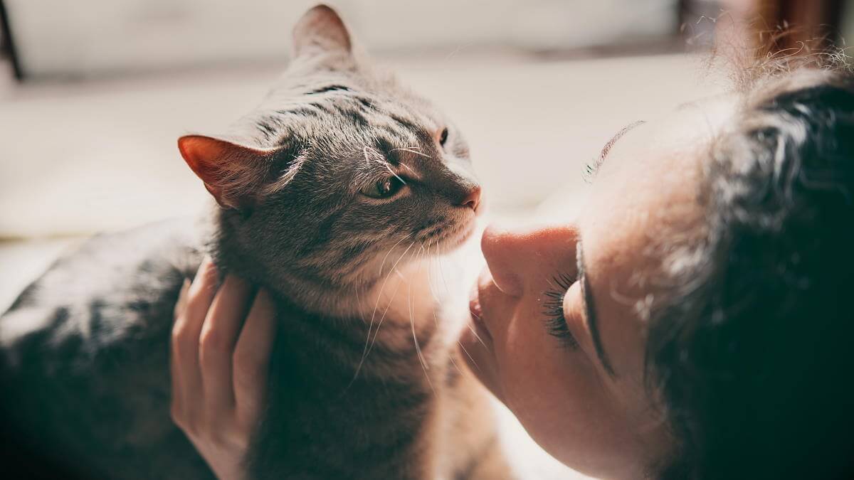 Co znamená milovat kočky z psychologického hlediska?