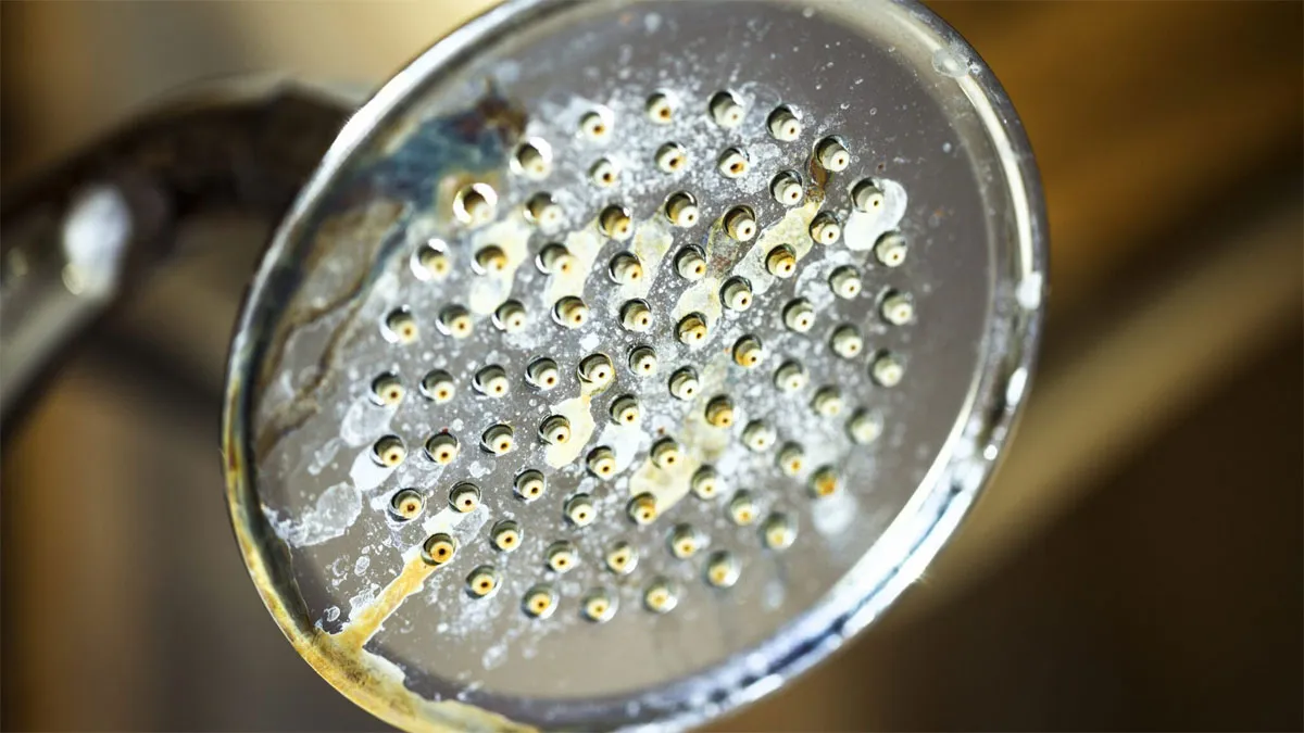 Jak odstranit vodní kámen ze sprchové hlavice a zvýšit tlak vody