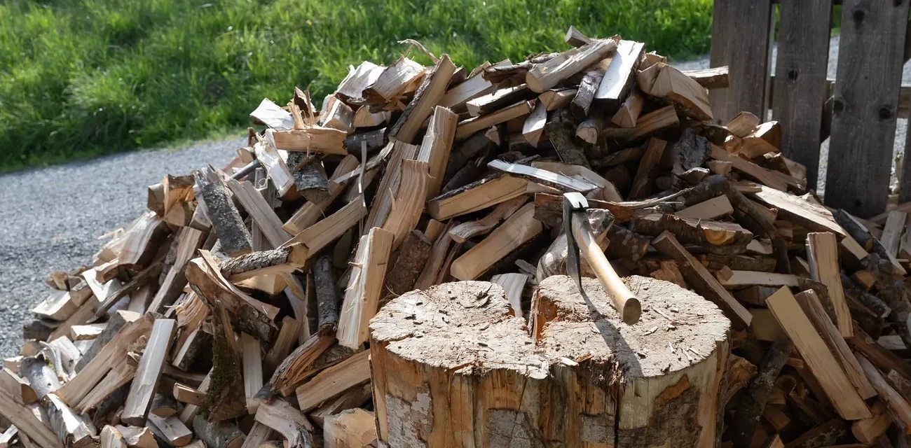 Zajišťuje dlouhé hoření a krásné teplo. Češi již objevili nejlepší dřevo pro krby