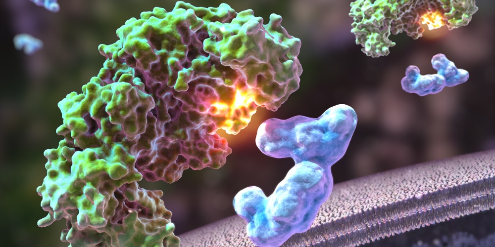 Lékař: „Intervalové hladovění umožňuje tělu vylučovat škodlivé látky prostřednictvím autofagie – vnitřního systému zpracování, který podporuje zdraví organismu.“