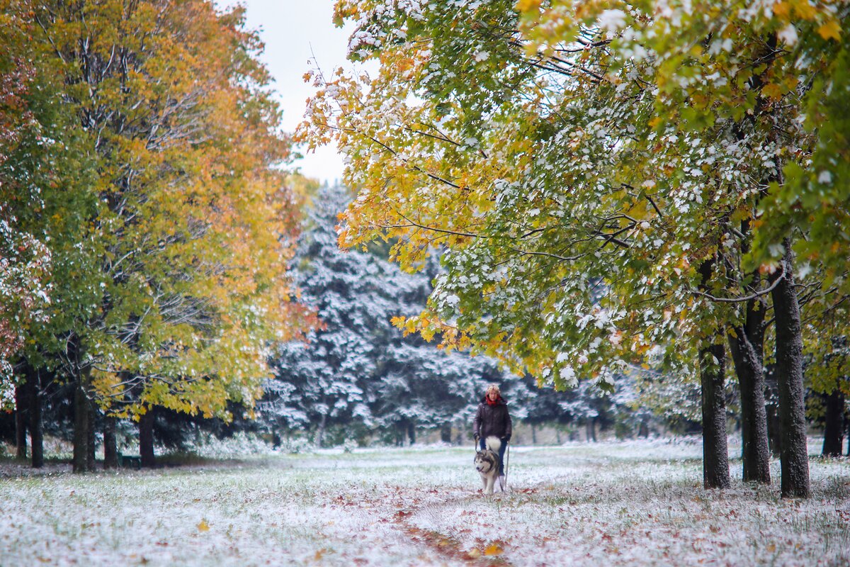 Nedělejte to v listopadu na zahradě, pokud chcete mít zdravé rostliny