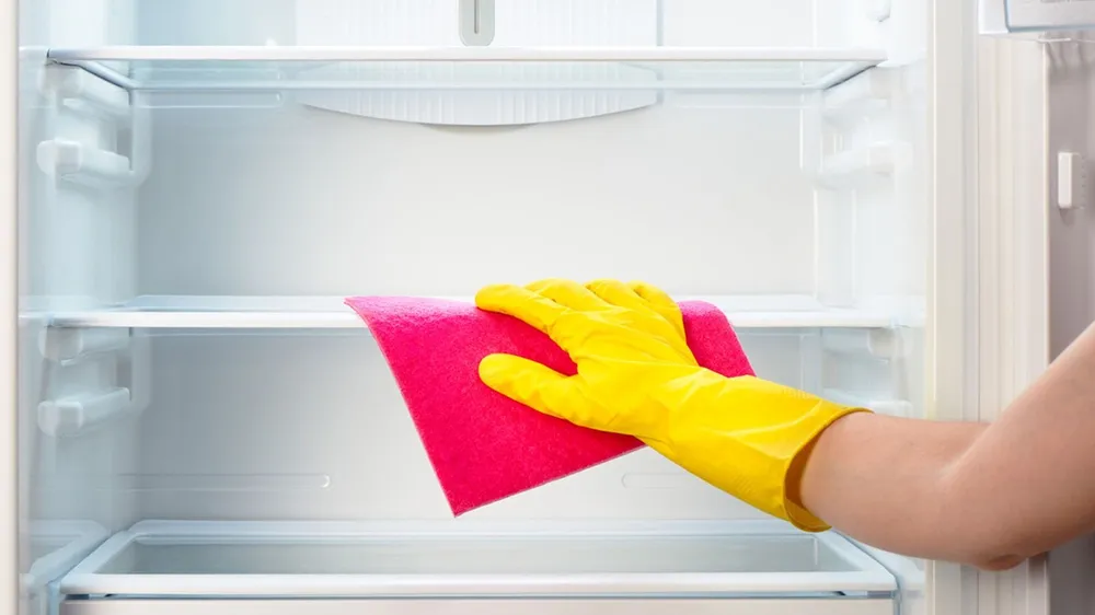 Hloubkové a dlouhodobé čištění: oblíbená metoda péče o ledničku