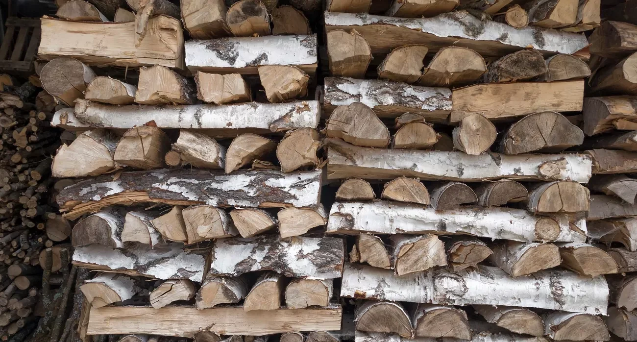 Zajišťuje dlouhé hoření a krásné teplo. Češi již objevili nejlepší dřevo pro krby